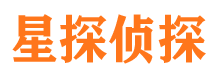 河口区私家调查公司